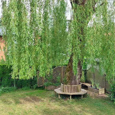 Rose House - Greenline Hiša za goste