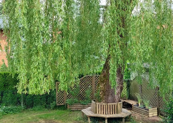 Rose House - Greenline Guest house